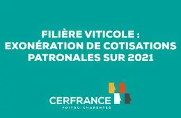 exoneration-de-cotisations-patronales