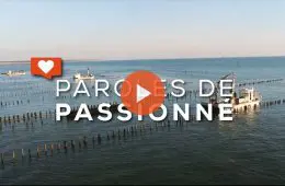 paroles-de-passioné-conchyliculture