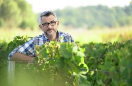 Conseil-cerfrance-viticulteur-cognac