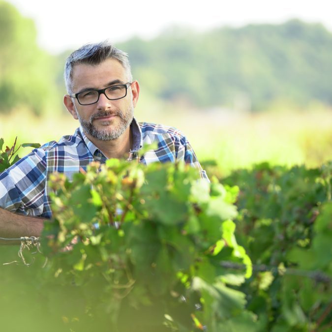 Conseil-cerfrance-viticulteur-cognac