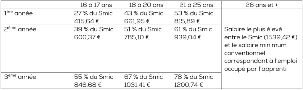 grille-salaire-alternant