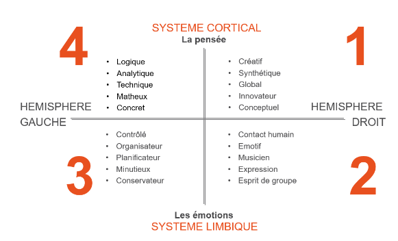 démarche-OPR-système-cortical