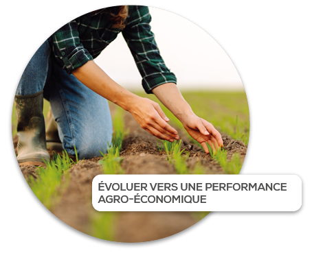 evoluer_vers_une_performance_agro-economique