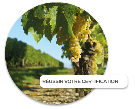 réussir_votre_certification